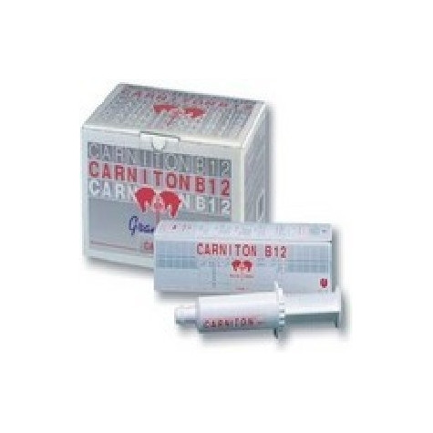 ACME Carniton B12 Equini - aumenta la resistenza alla fatica ed il trofismo muscolare 20 Buste 25,00 gr - 