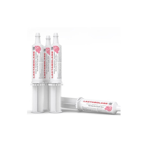 ACME Lactabolase Gel 100 gr. - 