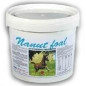 ACME Nanut foal puledri - latte in polvere per orfani 5 kg.