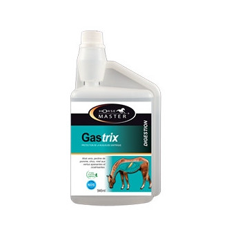 CHIFA Gastrix 946 ml. - 