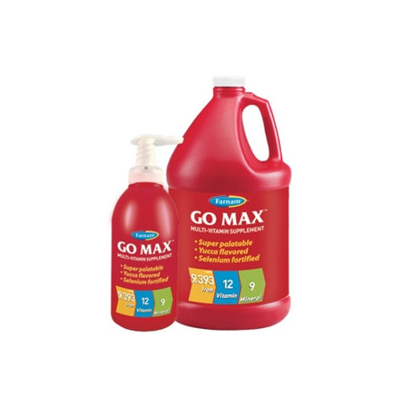 CHIFA Go Max 946 ml. - 