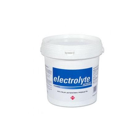 FM ITALIA Electrolyte Horse 3 kg. - 