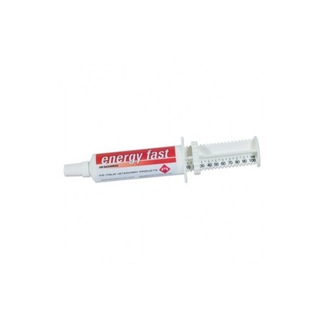 FM ITALIA Energy Fast 80 gr. - 