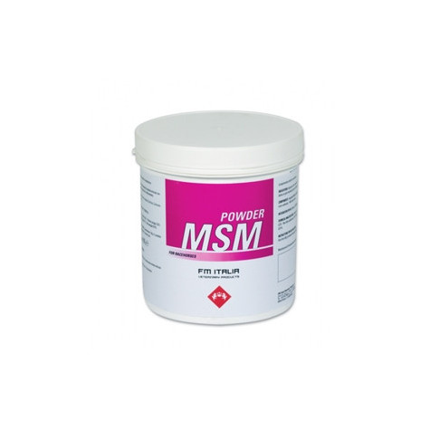 FM ITALIA Msm Powder 600 gr. -