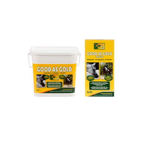 T.R.M. Good As Gold Pasta 3 Siringhe da 35 gr -