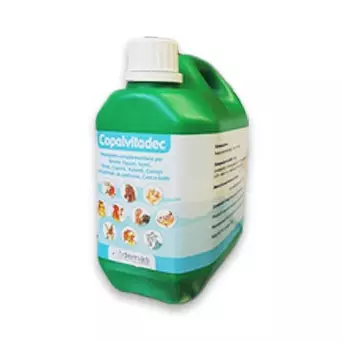FLÜSSIGES COPALVITADEC 1 kg.
