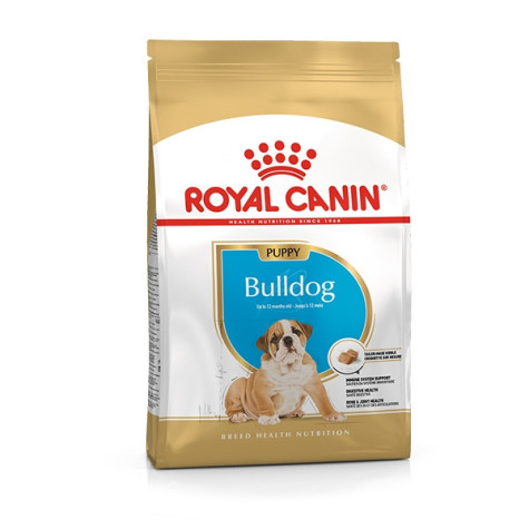 ROYAL CANIN English Bulldog Junior 3 kg.