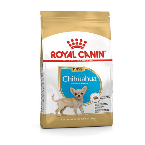 ROYAL CANIN Chihuahua Junior 500 gr. - 