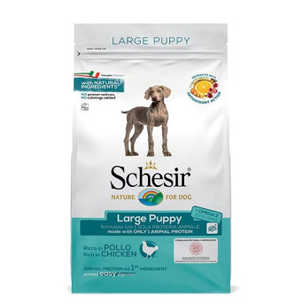 SCHESIR Dry Line Large Puppy Mantenimento con Pollo 12 kg. -