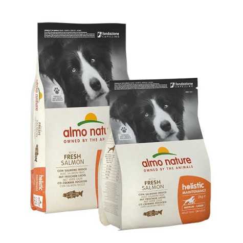 ALMO NATURE Holistic Medium Saumon et Riz 12 kg.