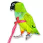 AVIATOR Harness for Parrots Green Color Size L.