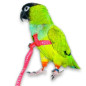 AVIATOR Harness for Parrots Red Color Size M.