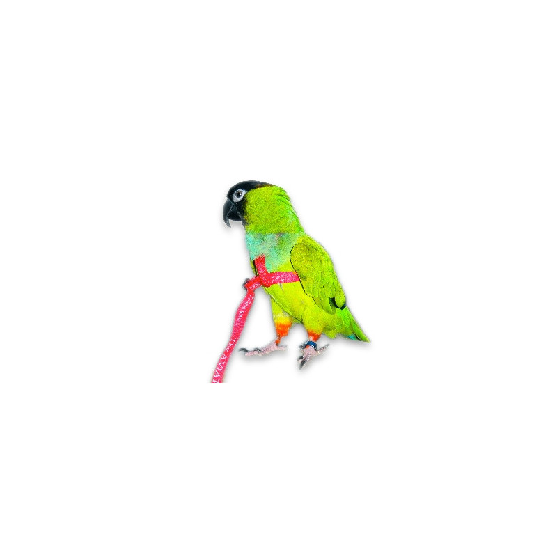 AVIATOR Harness for Parrots Color Black Size XL.