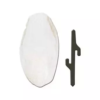 FERPLAST Osso di Seppia 1 Accessorio | 5 x 1,5 x h 12,5 cm - 