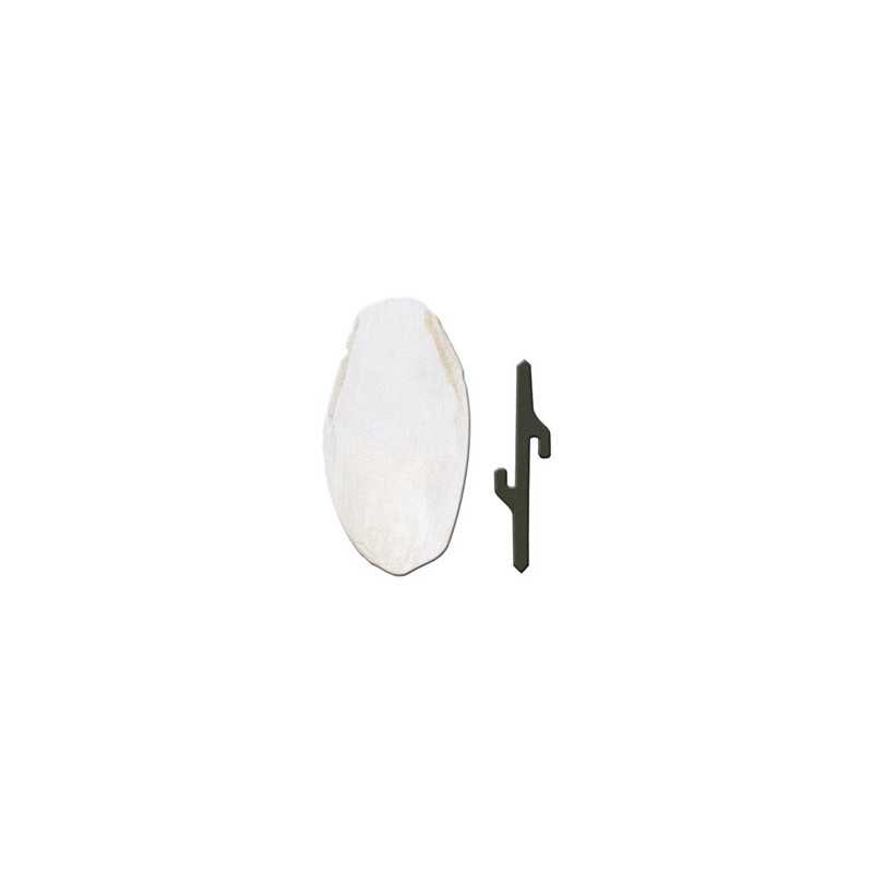 FERPLAST Osso di Seppia 1 Accessorio | 5 x 1,5 x h 12,5 cm FERPLAST Osso di Seppia 1 Accessorio | 5 x 1,5 x h 12,5 cm