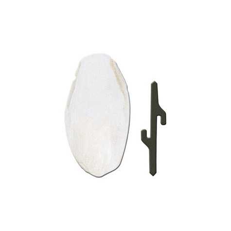 FERPLAST Osso di Seppia 1 Accessorio | 5 x 1,5 x h 12,5 cm - 