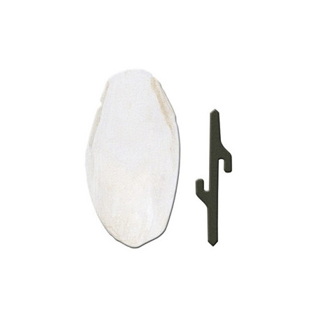 FERPLAST Osso di Seppia 1 Accessorio | 5 x 1,5 x h 12,5 cm - 