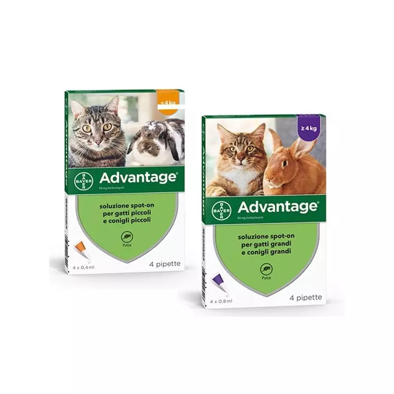 BAYER GESUND UND SCHÖN Vorteil Spot On Katzen / Kaninchen Gewicht unter 4 kg BAYER GESUND UND SCHÖN Vorteil Spot On Katzen / Kaninchen Gewicht unter 4 kg