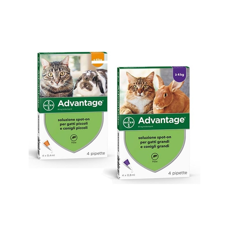 BAYER HEALTHY AND BEAUTIFUL Advantage Spot On Cats / Rabbits Weight Less than 4 Kg