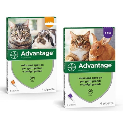 Advantage Spot On Chats et Lapins Moins de 4 kg - 4 pipettes