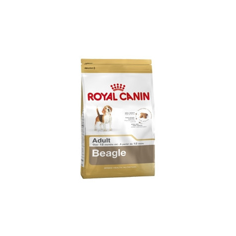 ROYAL CANIN Beagle Erwachsener 3 kg.