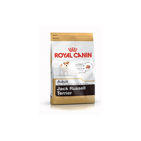 ROYAL CANIN Jack Russel Adult 1,5 kg. - 