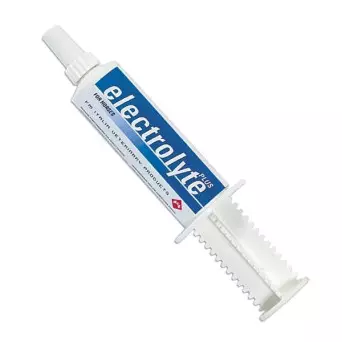 FM ITALIA Electrolyte Plus 40 gr. -