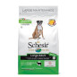 SCHESIR Dry Line Large Entretien avec Agneau 3 kg.