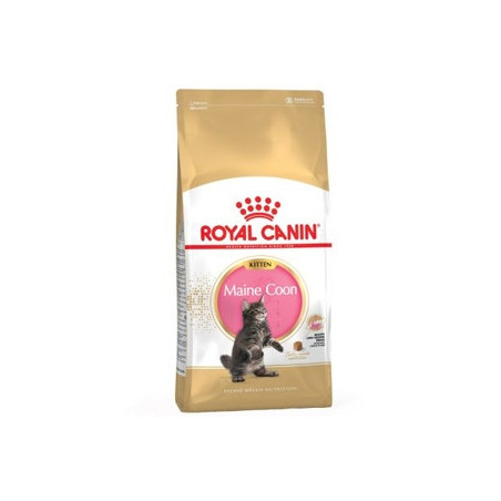 ROYAL CANIN Kitten Maine Coon 2 kg. - 