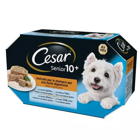 CESAR Delights of the Day Senior 10+ Multipack Selection in Gelee 400 gr.