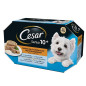 CESAR Delizie del Giorno Senior 10+ Multipack Selezione in Gelatina 400 g.