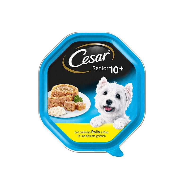 CESAR Senior 10+ Poulet et Riz in Gelatina 150 g. CESAR Senior 10+ Poulet et Riz in Gelatina 150 g.