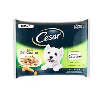 CESAR Delights of the Day Multipack Selection in Jelly 4 sachets of 100 gr.