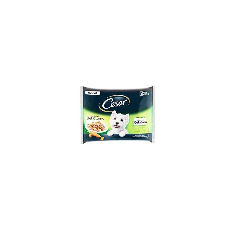 CESAR Delizie del Giorno Multipack Selezione in Gelatina 4 sachets 100 g. CESAR Delizie del Giorno Multipack Selezione in Gelatina 4 sachets 100 g.