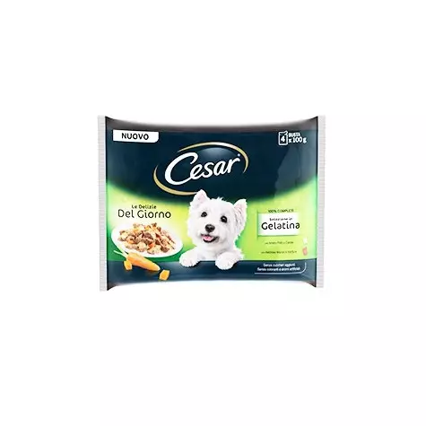 CESAR Delizie del Giorno Multipack Selezione in Gelatina 4 bustine da 100 gr. - 