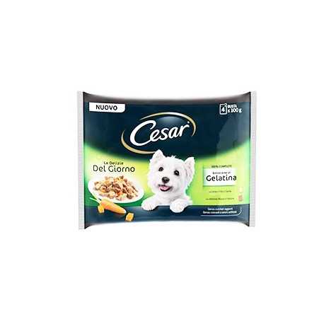 CESAR Delizie del Giorno Multipack Selezione in Gelatina 4 bustine da 100 gr. - 