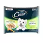 CESAR Delights of the Day Multipack Selection in Jelly 4 sachets of 100 gr.