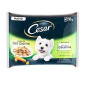 CESAR Delizie del Giorno Multipack Selezione in Gelatina 4 sachets 100 g.