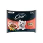CESAR Delights of the Day Multipack Selection in Sauce 4 Beutel à 100 gr.