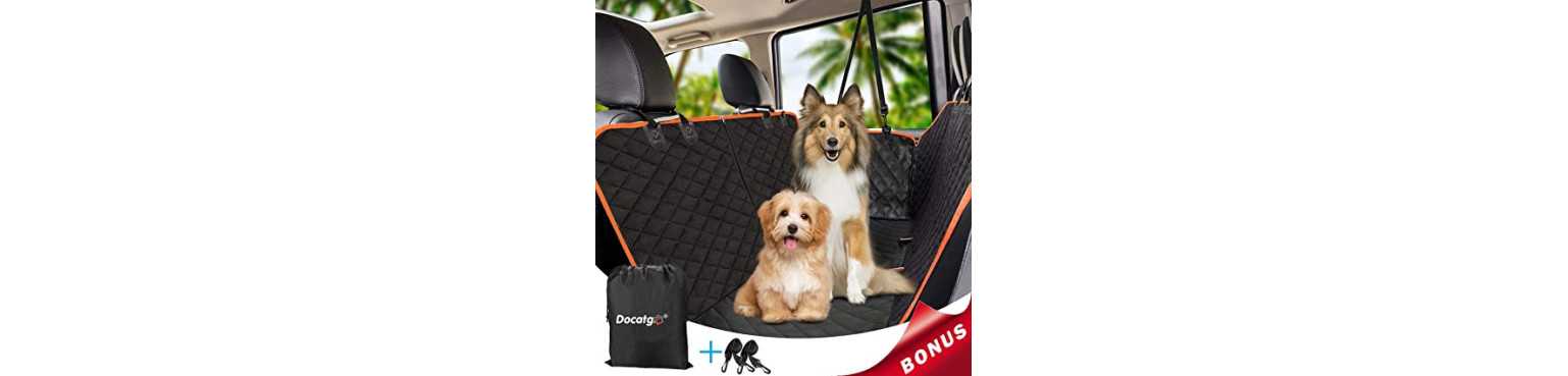 Accessori per Cani: Guinzagli, Ciotole e Giochi | ParafarmaciaPet