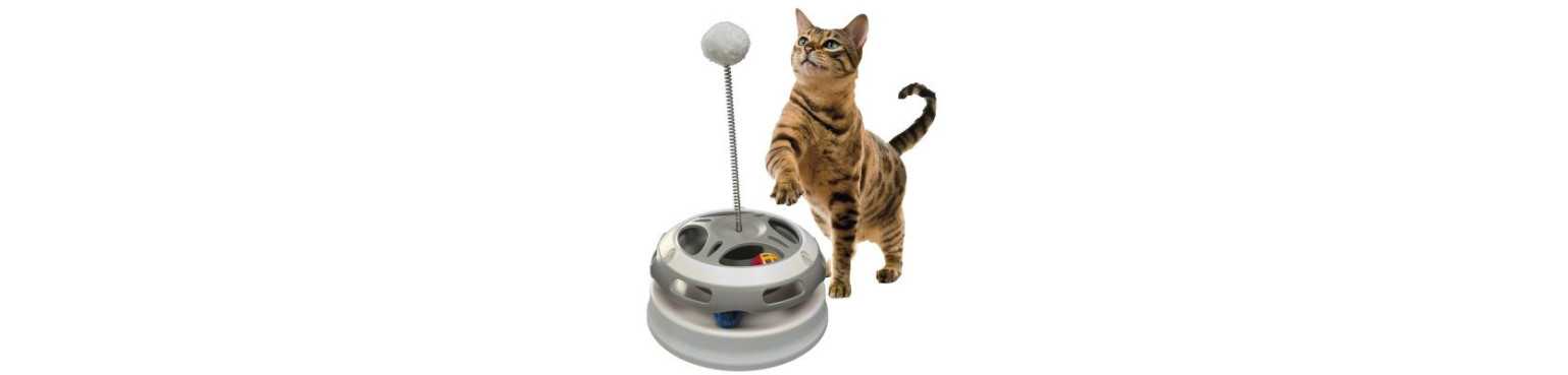 Accessori per Gatti: Tiragraffi, Lettiere e Ciotole | ParafarmaciaPet