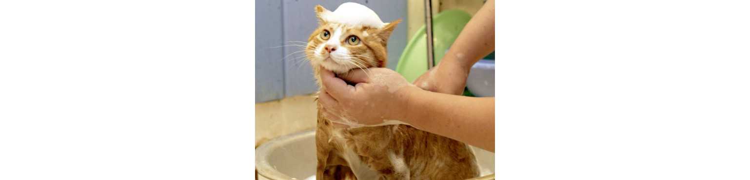 Soins et Hygiène | ParafarmaciaPet