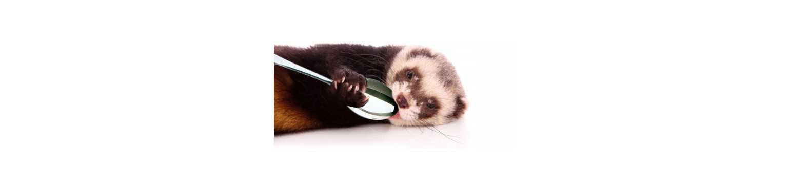 Aliments pour Furets | ParafarmaciaPet