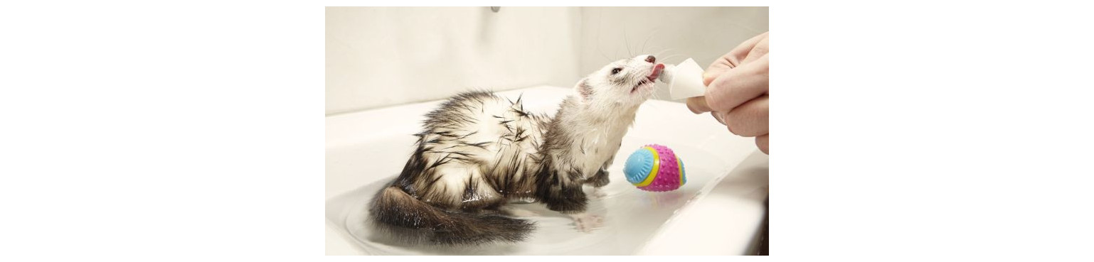 Buy CARE AND HYGIENE products for Ferrets