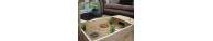 Terrariums et Aquaterrariums