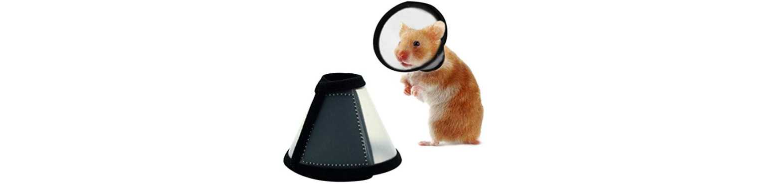 Attrezzature e Medicali Rongeurs | ParafarmaciaPet
