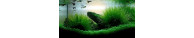 Trattamento D Acqua