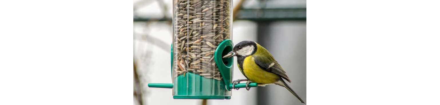 Aliments Oiseaux | ParafarmaciaPet