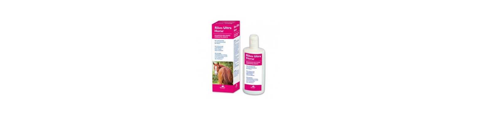 Shampoo e Lozioni | ParafarmaciaPet