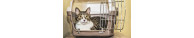 Paniers et Caisses de Transport Chat